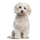 49754854031697|49754854130001