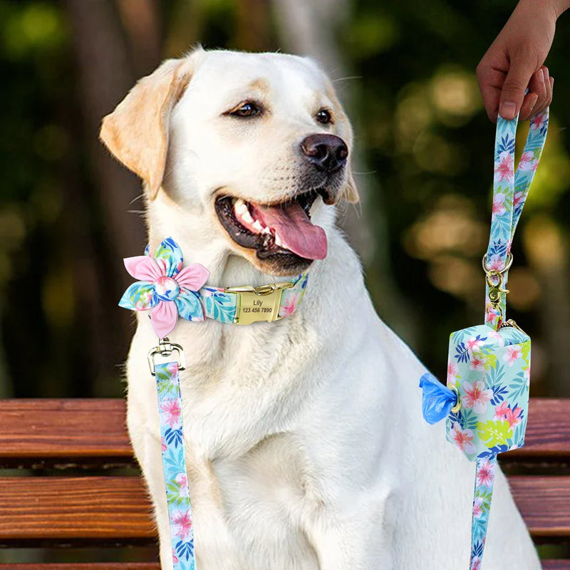lesă pentru câini DoggyStyle™ Design cu pungă pentru dulciuri - mai multe variante