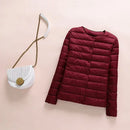 47591719436625|47591719469393|47591719502161|47591719534929|47591719567697|47591719600465