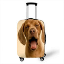 48474116096337|48474116161873|48474116227409|48474116292945