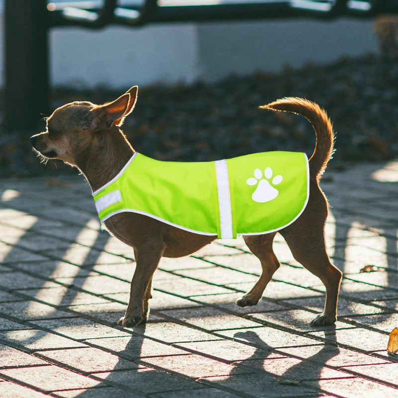 Costum reflectorizant pentru câini DoggyStyle™ Design Reflective Dog Suit - mai multe variante