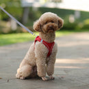 Ham Doggy™ Design Harness - mai multe variante
