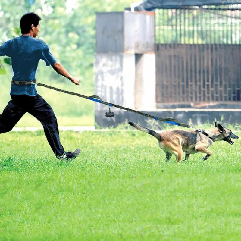PremiumDog™ lesă de alergare elastică pentru câini - mai multe variante