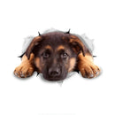 49754852655441|49754852819281