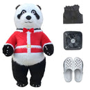 48299264147793|48299264180561|48299264213329