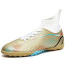 Fotbal profesionist de gleznă Turfs - mai multe variante