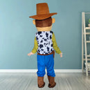 Design costum Toy Story - mai multe variante