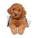 49754851705169|49754852065617