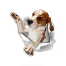 49754854326609|49754854850897