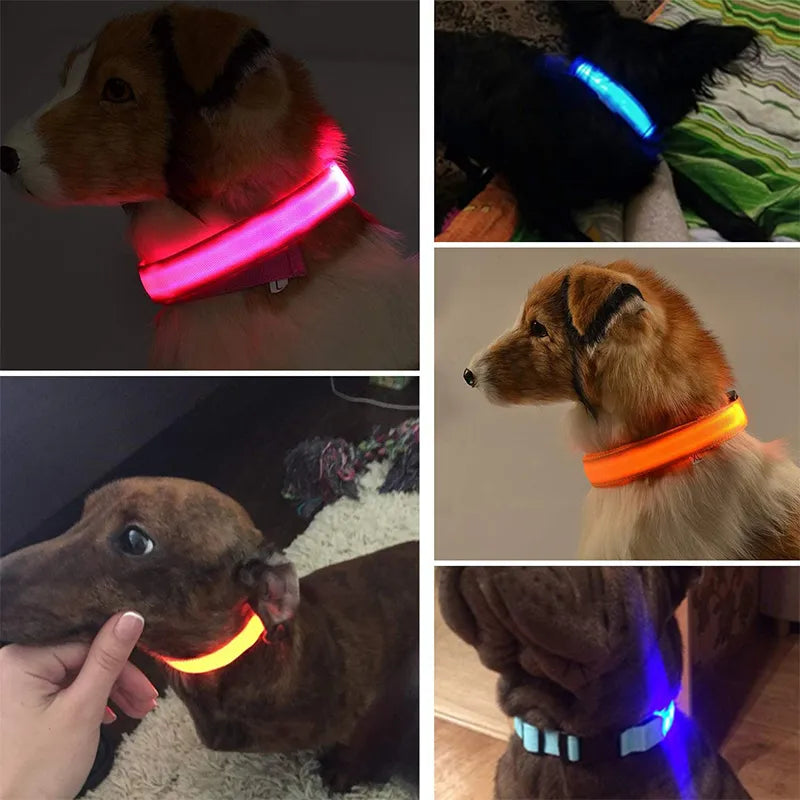 PremiumDog™ Colier reflectorizant pentru câini - mai multe variante