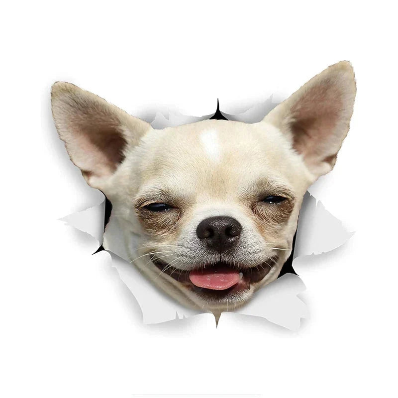 49754854261073|49754854457681