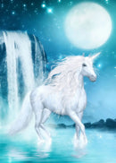 49761885258065|49761886306641|49761887781201|49761888436561