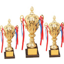 Trofeul Sportiv de Aur - mai multe variante