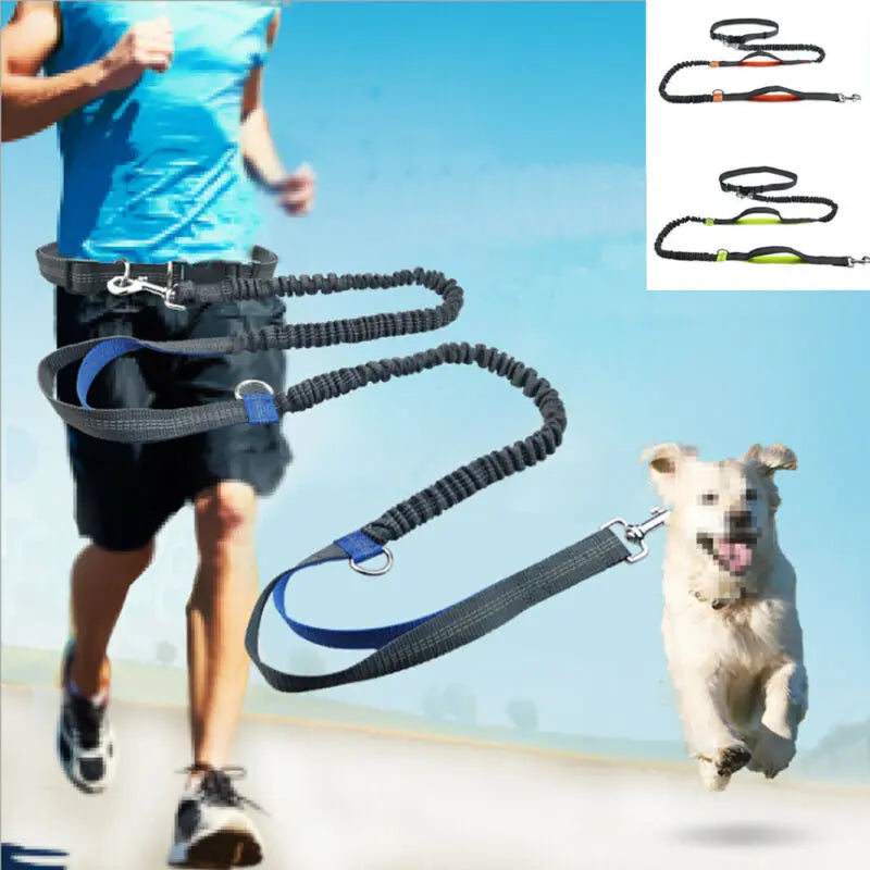 PremiumDog™ lesă de alergare elastică pentru câini - mai multe variante