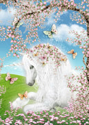 49761884832081|49761885454673|49761885749585|49761887486289