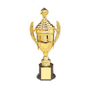 Trofee sportive - mai multe variante