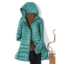 47591715438929|47591715471697|47591715504465|47591715537233|47591715570001|47591715602769|47591715635537|47591715668305