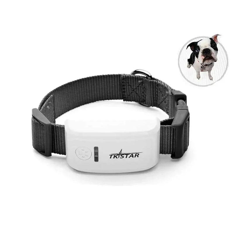 MyDog™ Design Colier cu GPS pentru câini