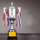 Trofeu sportiv pentru locurile I, II și III