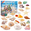 Calendar de advent Comori de mare