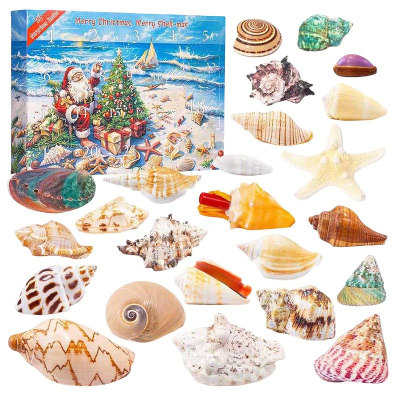 Calendar de advent Comori de mare