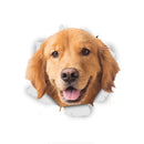 49754852884817|49754853015889