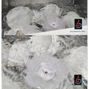 Mini mașină de spălat vase pentru chiuvetă - mai multe variante