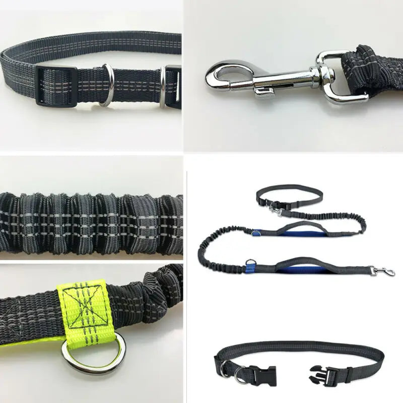 PremiumDog™ lesă de alergare elastică pentru câini - mai multe variante