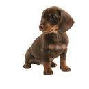 49754853966161|49754855080273