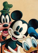 49785649168721|49785649201489