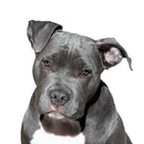 49754852327761|49754852458833