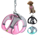 Ham Doggy™ Design Harness - mai multe variante