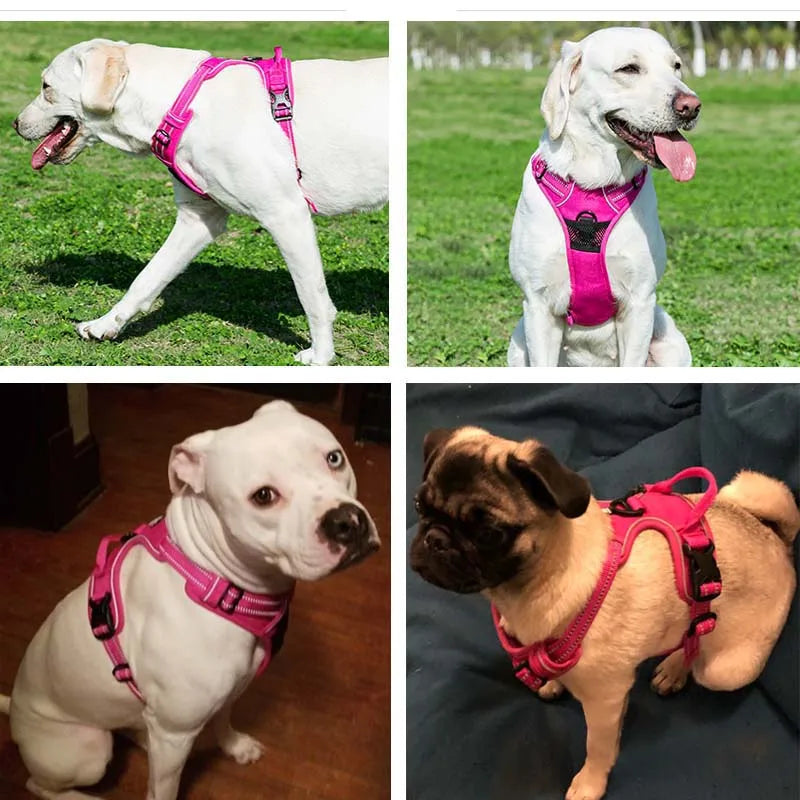 MyDog™ ham reflectorizant confortabil pentru câini - mai multe variante