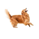 49754855113041|49754855145809