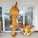 Design costum Ren de Crăciun