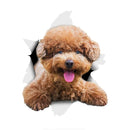 49754851836241|49754851901777