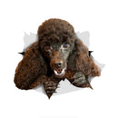 49754851737937|49754851803473