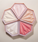 Pudră iluminatoare - 5 nuanțe