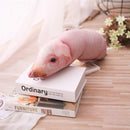 Pernă de purceluș din pluș - mai multe variante