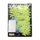 Fulgi de zăpadă luminoși - mai multe culori