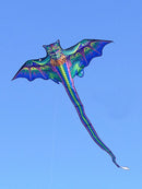 Dragon zburător colorat