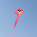 Zmeu zburător cu motiv Angry Birds