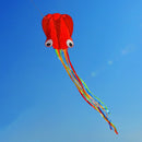 3256803233052332-Random Color