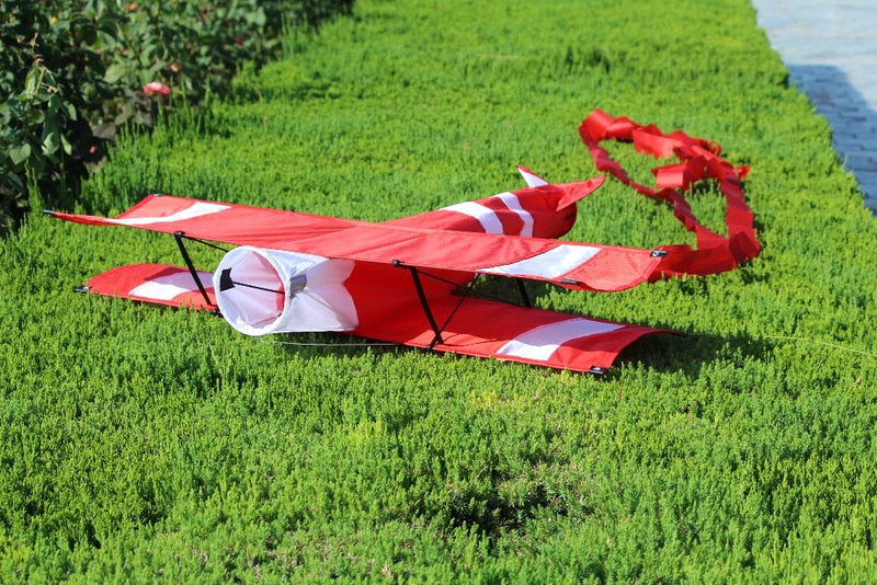 Zmeu avion