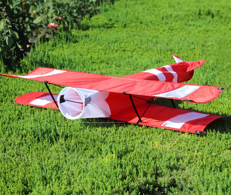 Zmeu avion