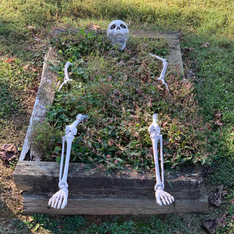 Decorațiuni de grădină de Halloween Skeleton - mai multe variante
