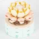 Set de construit plante de grădină - mai multe variante