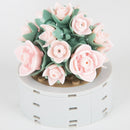 Set de construit plante de grădină - mai multe variante