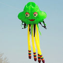 Zmeu zburător uriaș - mai multe culori