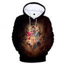 Adult Sweatshirt Harry Potter - mai multe variante